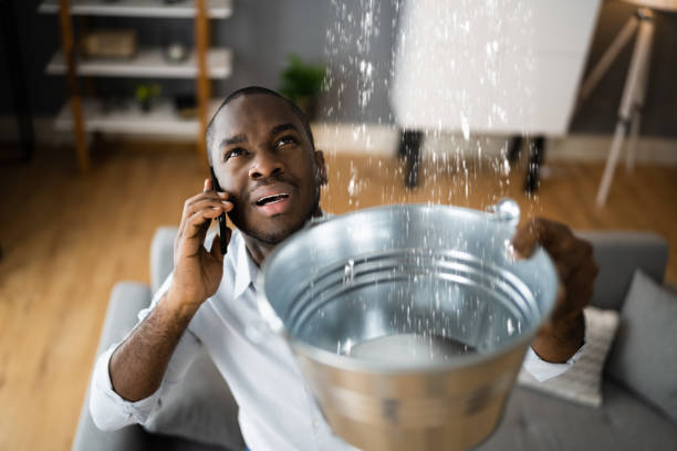 Best Water damage cleanup near me  in Swedeland, PA