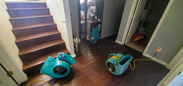 Best Water damage restoration services  in Swedeland, PA