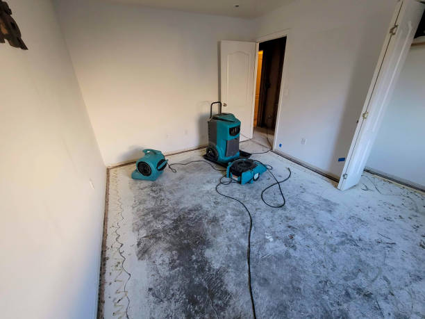 Best Carpet water damage restoration  in Swedeland, PA