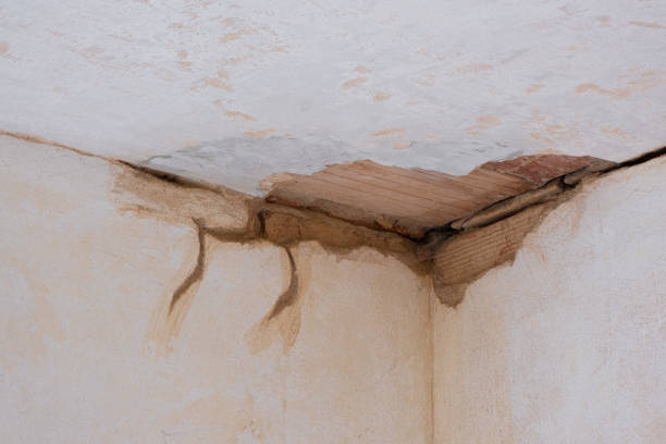 Best Flood restoration services  in Swedeland, PA
