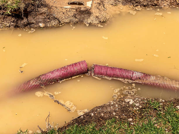 Best 24/7 water damage repair  in Swedeland, PA
