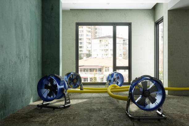Best Ceiling water damage repair  in Swedeland, PA